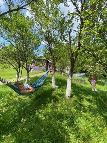 Lodge Cabana Hatere