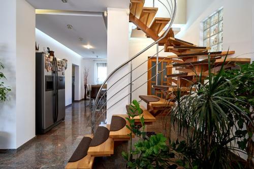 Hostal Casa Cu Flori Moisei