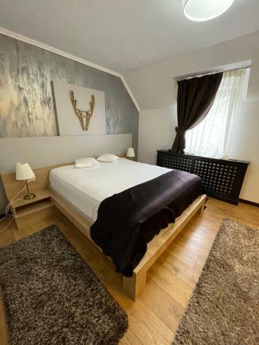 Hostal Pensiune Restaurant Capra Neagra