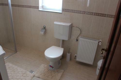 Hostal Casa Ivascu Moisei