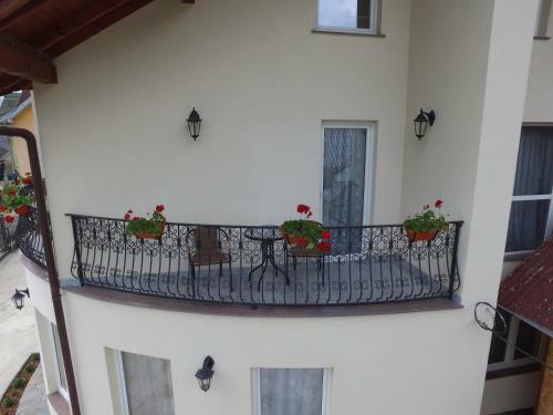 Hostal Casa Ivascu Moisei