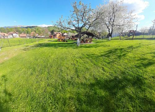 Hostal Pensiunea Denisa Stoian