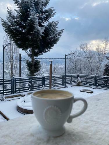 Casa Lui Andrei, Moisei - Maramures