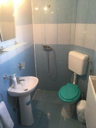 Agroturismo Casa Oana Ioana