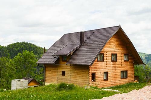 Lodge Cabana Ioana