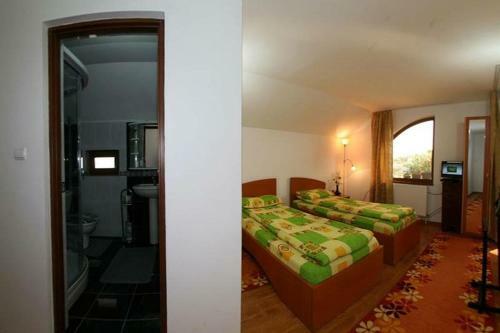 Hostal Casa Nicu Murighiol