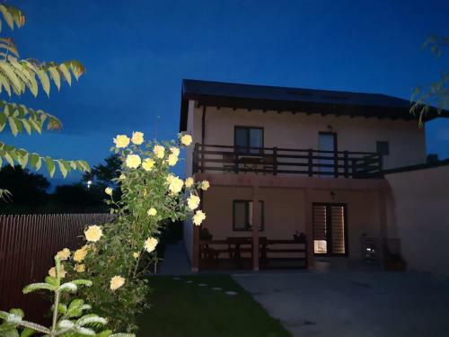 Casa Lui Matei Murighiol