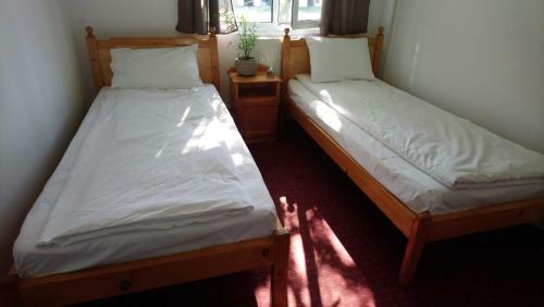 Hostal Casa Baloo