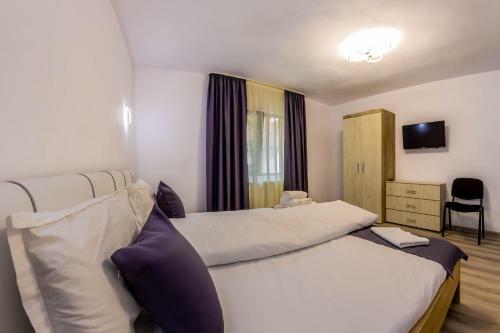 Hostal Pensiunea D & Ylan