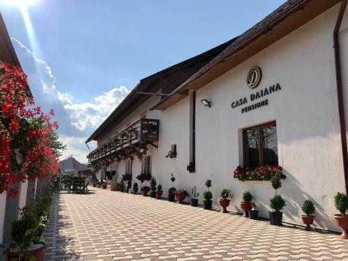 Hostal Casa Daiana