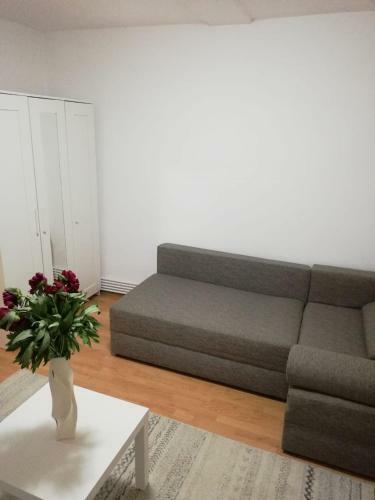 Apartamento Garsoniera Andreea-raluca