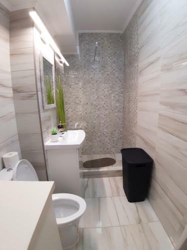 Alex Sofi Apartament