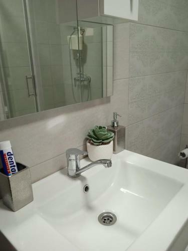 Apartamento Studio Timeea Mamaia-nord
