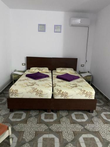 Hostal Pensiunea La Misu