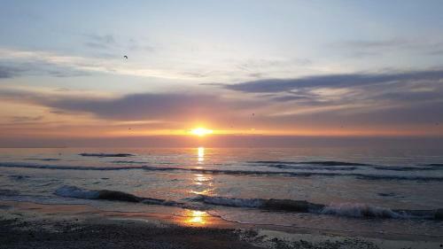 Green Apartment Mamaia Nord