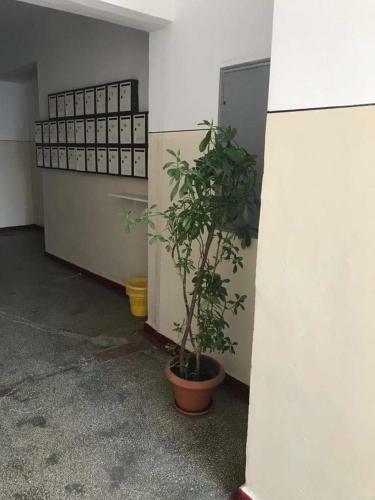 Apartamento Eternal Sunshine