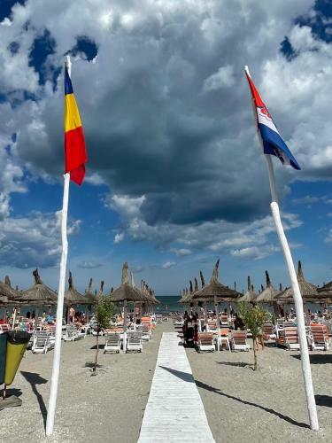 Gray Apartment Mamaia Nord