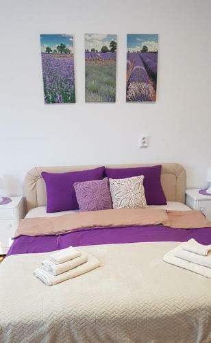R�zsa Apartman