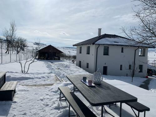 Viktoria House