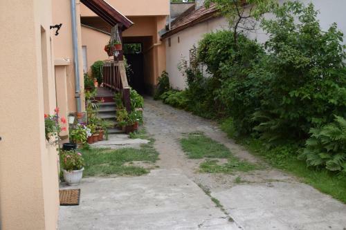 Elekes Apartmans