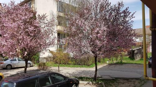Vir�g Apartman - Standard