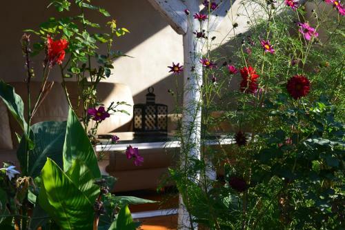Casa Luna Betiluna