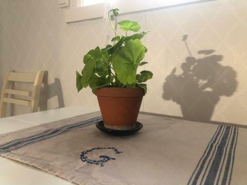 Apartamento Mormors Vr�