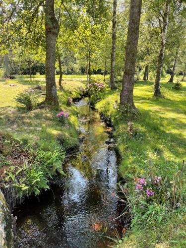 Fyrv�gen 13 'ydermossa' New!