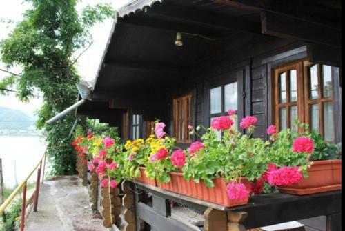 Gratca Nr 164 Orsova