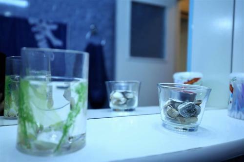 Apartament R&d