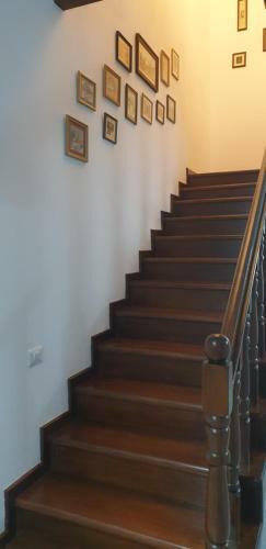 Hostal Casa Mucenic