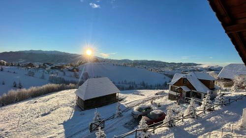 Lodge Cabana Cu Mesteceni