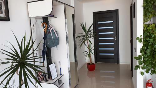 Apartamento Dreamview Mamaia Summer Apt