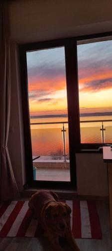 Apartamento Bella Vista Summerland