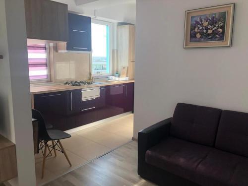 Apartament Crazy