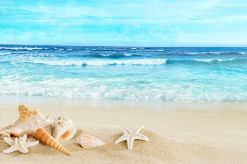 Aqua Blue Apartment Mamaia