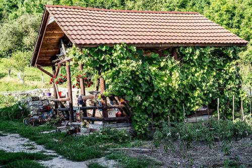 Hostal Agropensiunea Rafila