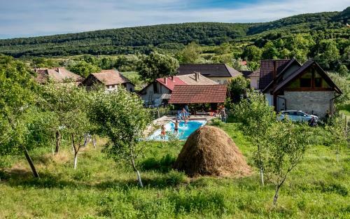 Hostal Agropensiunea Rafila