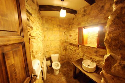 Hostal Pensiunea Casa Dacilor