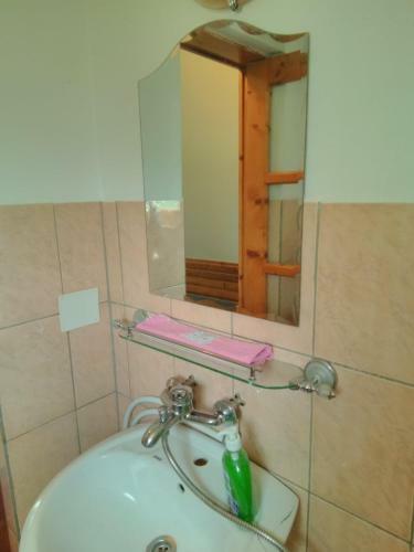 Apartamento Casa Paltin Cabane