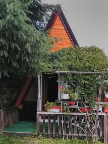Apartamento Casa Paltin Cabane
