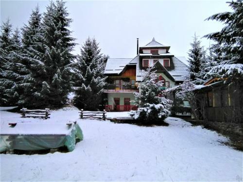 Apartamento Casa Paltin Cabane