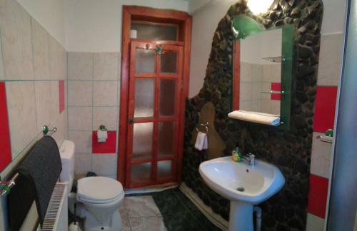 Lodge Casa Paltin