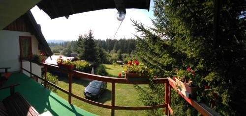 Lodge Casa Paltin