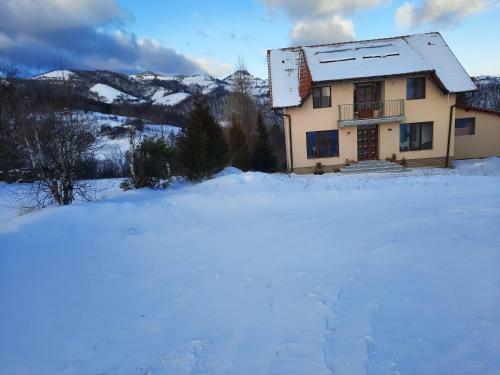 Casa Flavia