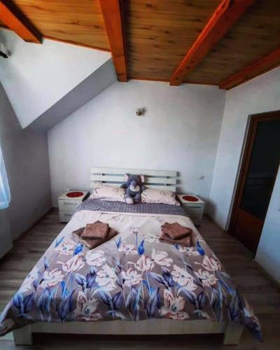 Casa Flavia