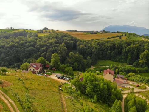 Hostal Pensiunea 7 Brazi II