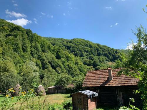 Casa Speran?a Din Poieni