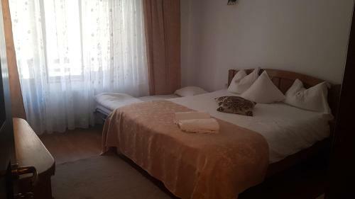 Hostal Pensiunea Subcetate