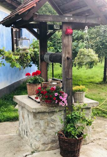 Agroturismo La Mama Anica